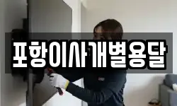 포항이사개별용달
