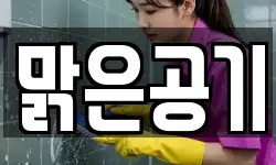 맑은공기