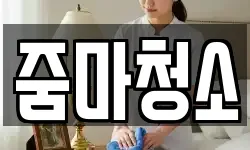 줌마청소