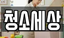 청소세상