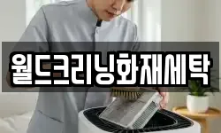 월드크리닝화재세탁