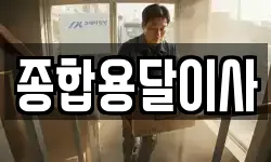 종합용달이사