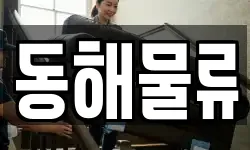 경상북도 울릉군 이사,용달이사,포장이사,원룸이사,보관이사