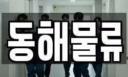 경상북도 울릉군 울릉읍 이사,용달이사,포장이사,원룸이사,보관이사
