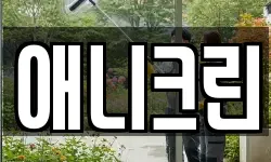 애니크린