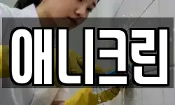 애니크린