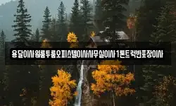 경상북도 울진군 죽변면 이사,용달이사,포장이사,원룸이사,보관이사