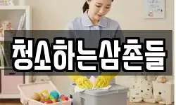 청소하는삼촌들
