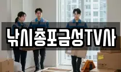 경상북도 의성군 금성면 이사,용달이사,포장이사,원룸이사,보관이사