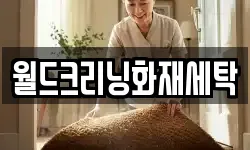 월드크리닝화재세탁