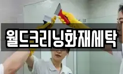 월드크리닝화재세탁