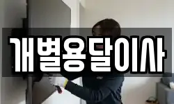 개별용달이사
