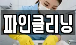 파인클리닝