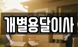 개별용달이사