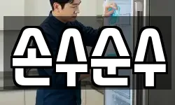 손수순수