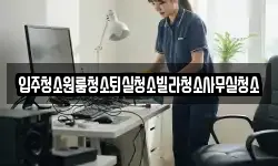 입주청소원룸청소퇴실청소빌라청소사무실청소