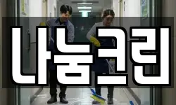나눔크린