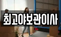 최고야보관이사
