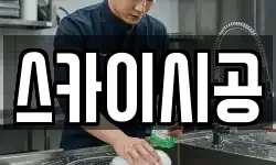 스카이시공