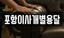 포항이사개별용달