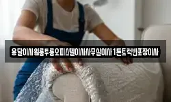 용달이사원룸투룸오피스텔이사사무실이사1톤트럭반포장이사