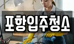포항입주청소