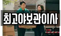 최고야보관이사