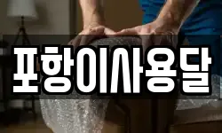 포항이사용달