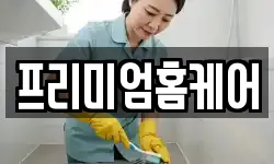 프리미엄홈케어