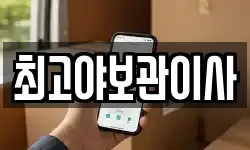 최고야보관이사