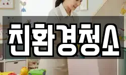 친환경청소