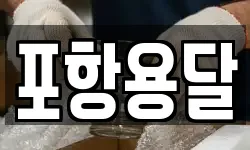 포항용달