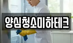 양심청소미하테크