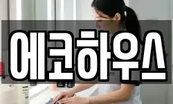 에코하우스