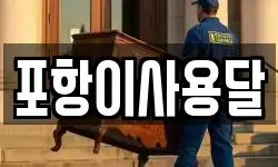 포항이사용달
