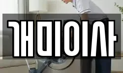 개미이사