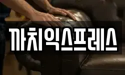 까치익스프레스