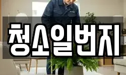 청소일번지