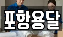 포항용달