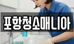 포항청소매니아