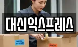 대신익스프레스