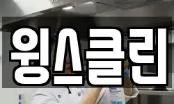 윙스클린