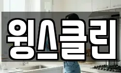 윙스클린