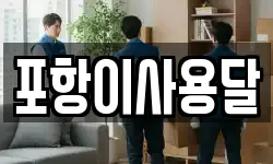 포항이사용달