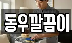 동우깔끔이