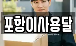 포항이사용달