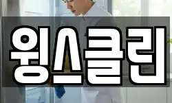 윙스클린