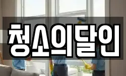 청소의달인