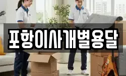 포항이사개별용달