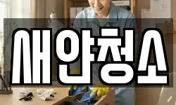새얀청소